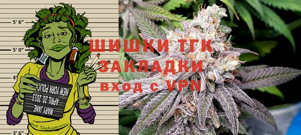 прущие грибы Бронницы