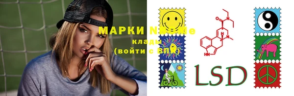 амф Новокубанск