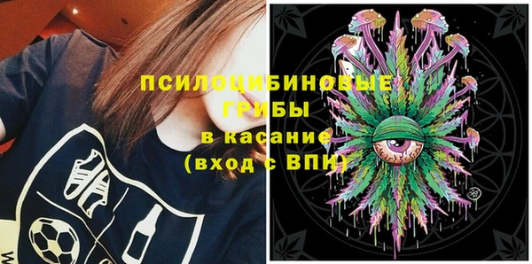 амф Новокубанск