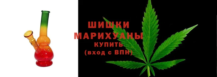 амф Новокубанск