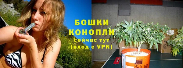 амф Новокубанск