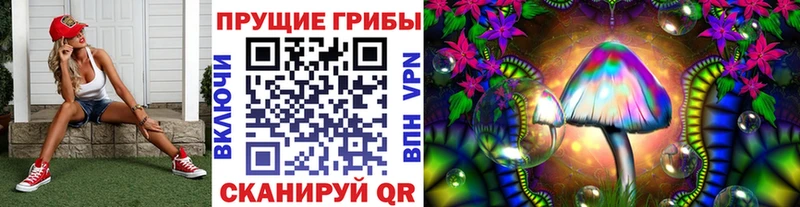 Псилоцибиновые грибы Cubensis  как найти закладки  Ачинск 