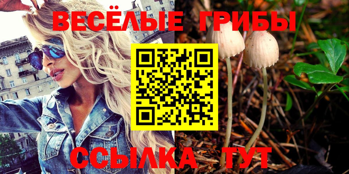 Псилоцибиновые грибы ЛСД Ачинск