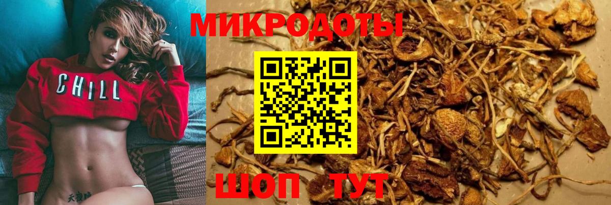 Псилоцибиновые грибы Psilocybe  Ачинск 